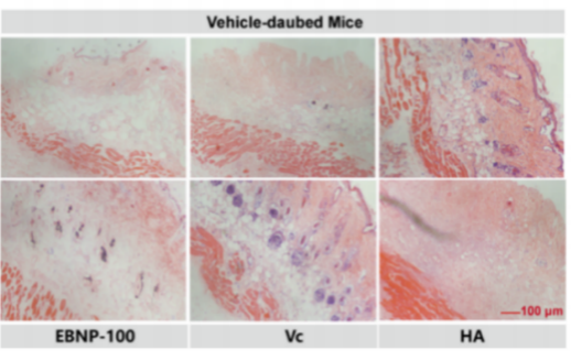 非凡国际(中国区)-官方网站
