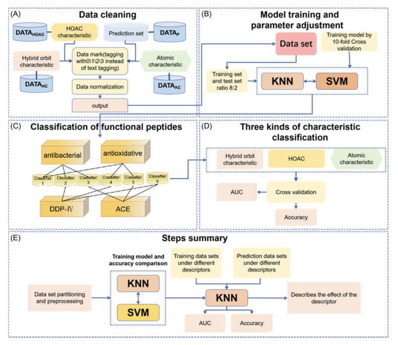 非凡国际(中国区)-官方网站