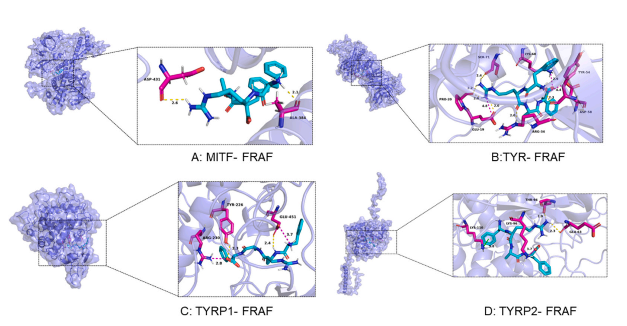 非凡国际(中国区)-官方网站