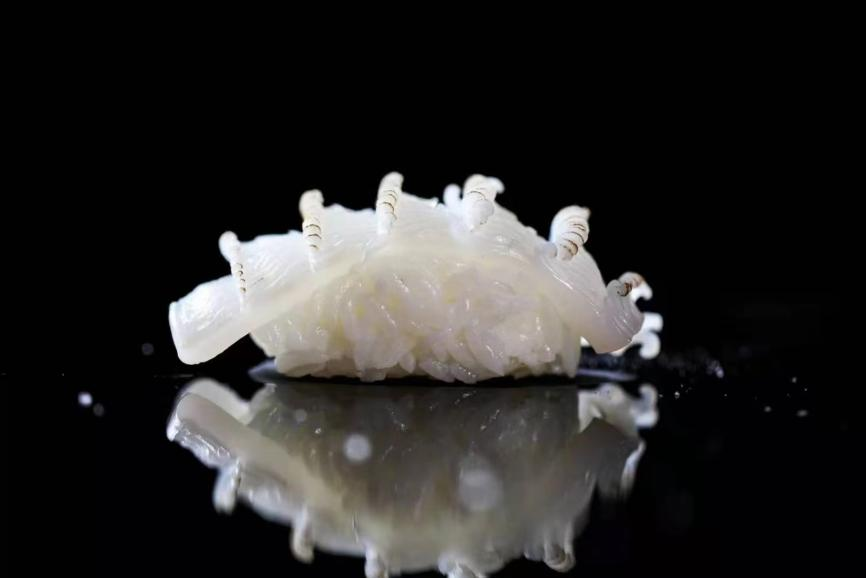 非凡国际(中国区)-官方网站